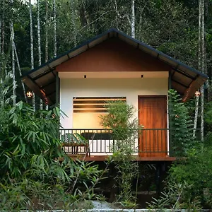 Blue Creek Meppādi